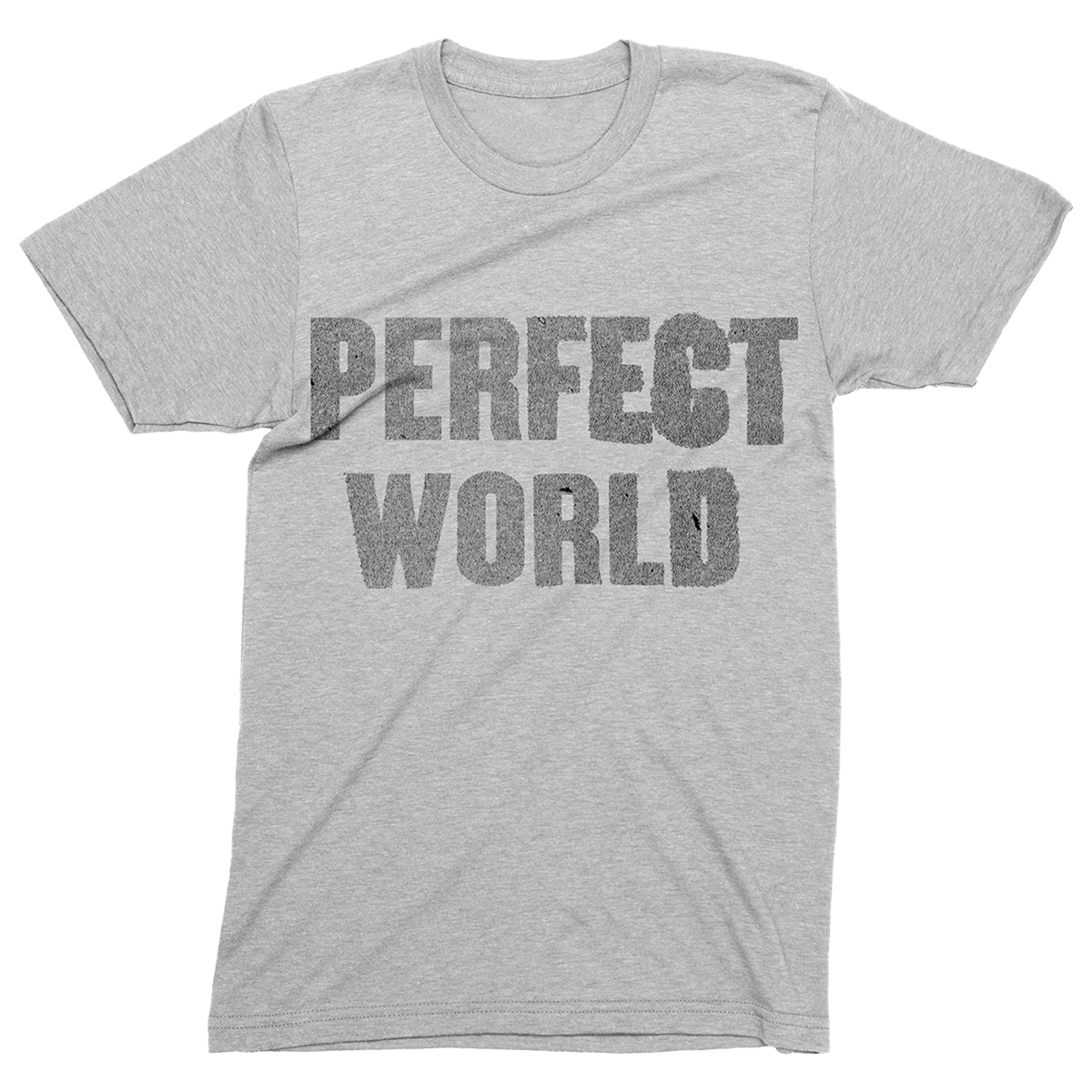 Perfect World Album Tee – Bruce Springsteen