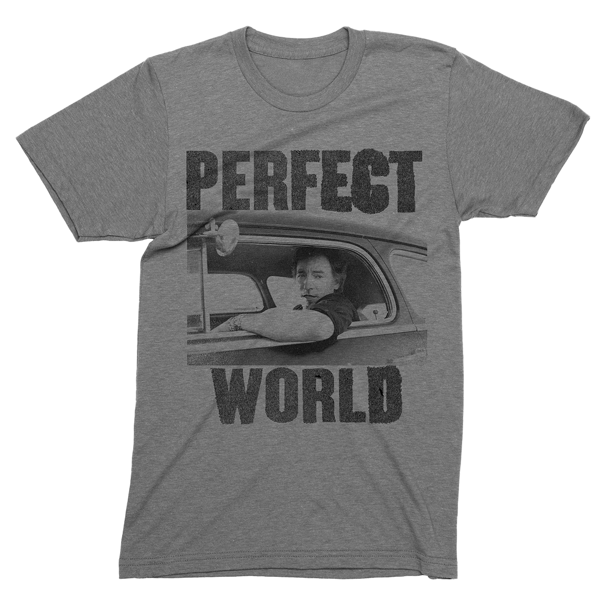 Perfect World Photo Tee